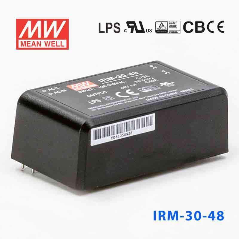 Mean Well IRM-30-48 Switching Power Supply 3W 48V 0.63A - Encapsulated