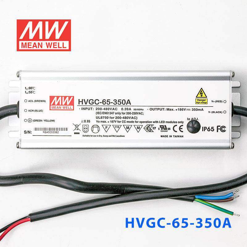Mean Well HVGC-65-350A Power Supply 65W 350mA - Adjustable - PHOTO 2