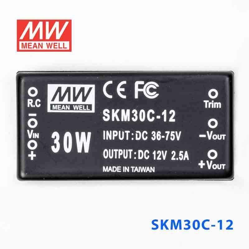 Mean Well SKM30C-12 DC-DC Converter - 30W - 36~75V in 12V out 2.5A - PHOTO 2