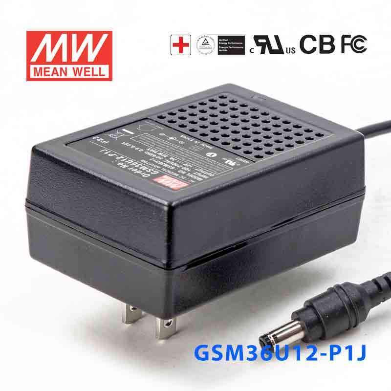 Mean Well GSM36U12-P1J Power Supply 36W 12V 3A