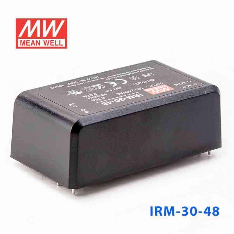 Mean Well IRM-30-48 Switching Power Supply 3W 48V 0.63A - Encapsulated - PHOTO 1