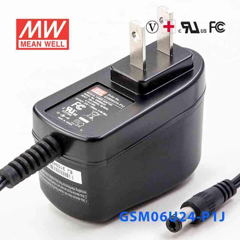 Mean Well GSM06U24-P1J Power Supply 06W 24V