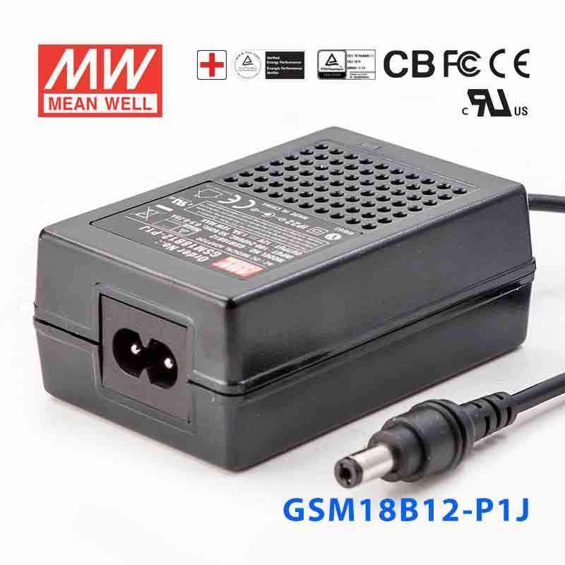 Mean Well GSM18B12-P1J Power Supply 18W 12V 1.5A