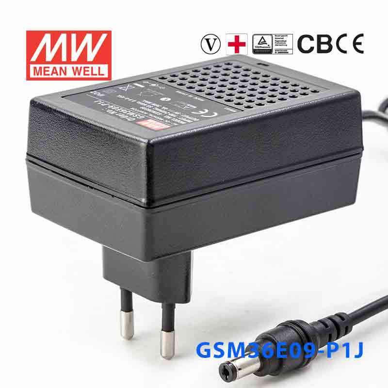 Mean Well GSM36E09-P1J Power Supply 36W 9V 4A