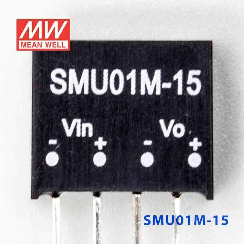 Mean Well SMU01M-15 DC-DC Converter - 1W - 10.8~13.2V in 15V out 67mA - PHOTO 2