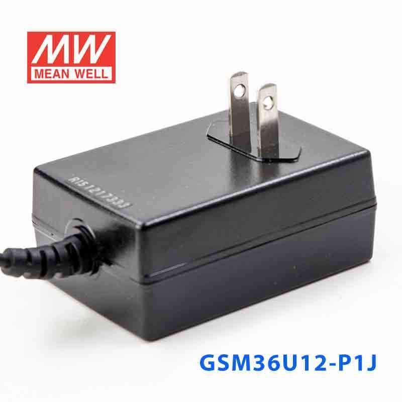 Mean Well GSM36U12-P1J Power Supply 36W 12V 3A - PHOTO 3