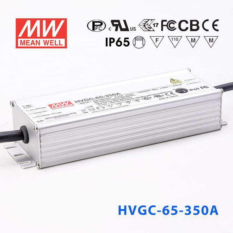Mean Well HVGC-65-350A Power Supply 65W 350mA - Adjustable