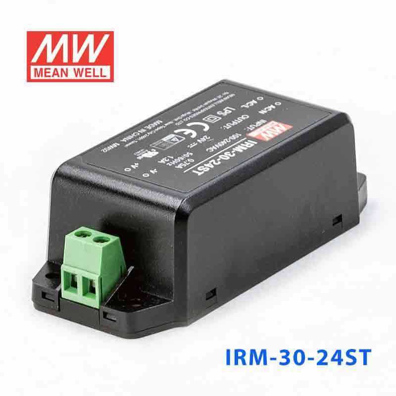 Mean Well IRM-30-24ST Switching Power Supply 3W 24V 1.3A - Encapsulated - PHOTO 1