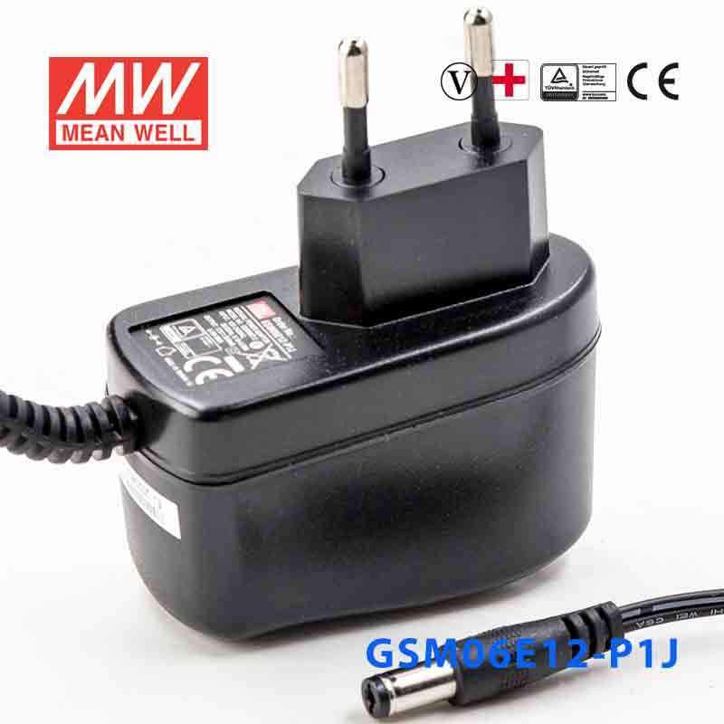 Mean Well GSM06E12-P1J Power Supply 06W 12V 500mA