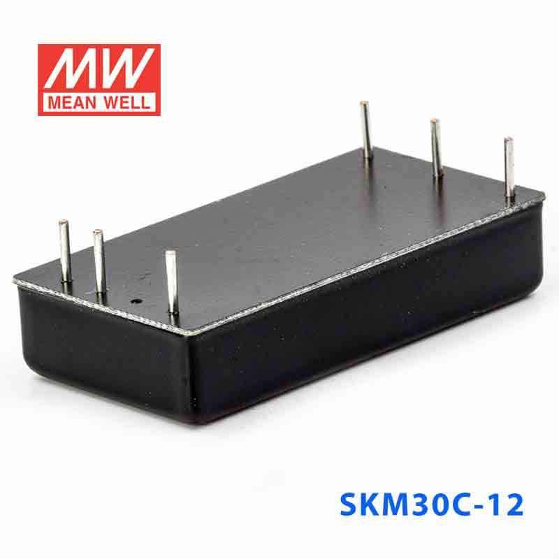 Mean Well SKM30C-12 DC-DC Converter - 30W - 36~75V in 12V out 2.5A - PHOTO 4
