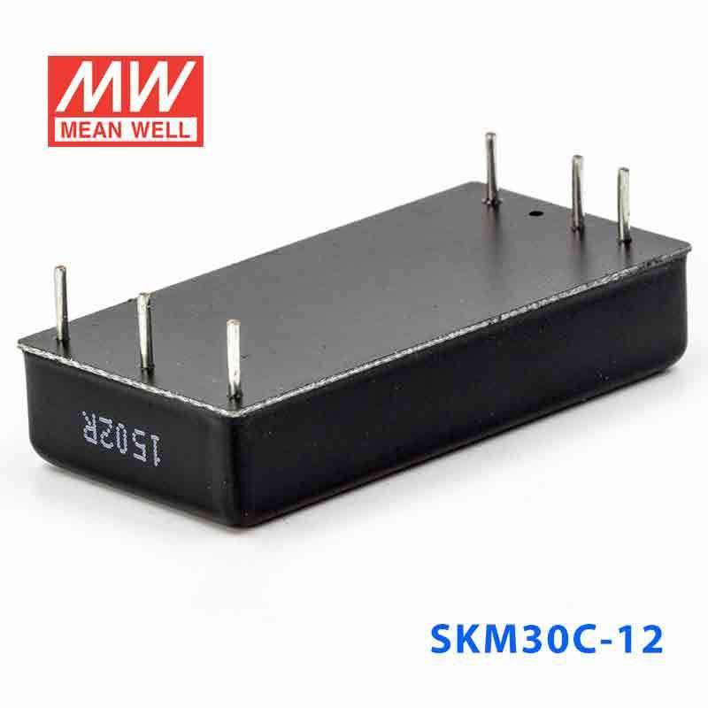 Mean Well SKM30C-12 DC-DC Converter - 30W - 36~75V in 12V out 2.5A - PHOTO 3