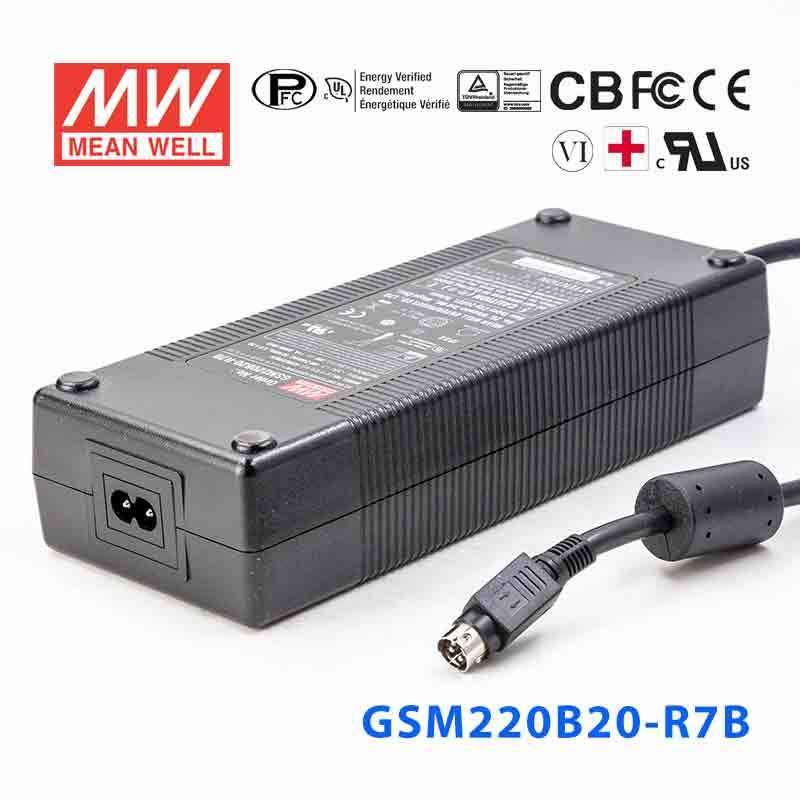 Mean Well GSM220B20-R7B Power Supply 220W 20V 11A