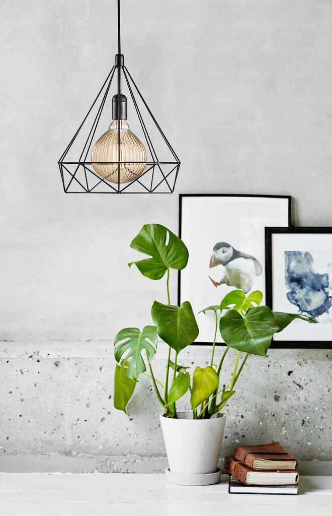 Nordlux Pendant Aire Black