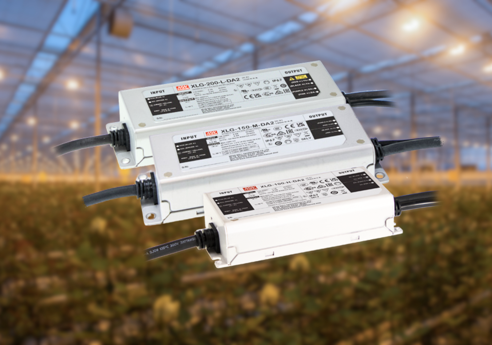New addition to XLG series(XLG DA2 series)