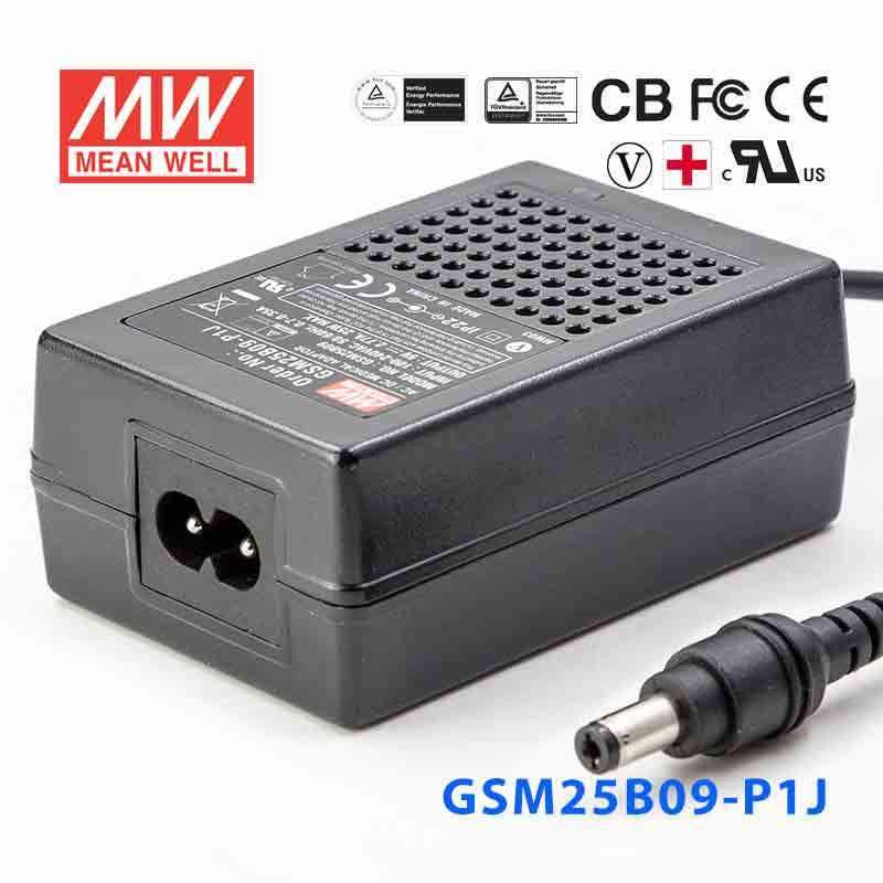 Mean Well GSM25B09-P1J Power Supply 25W 9V