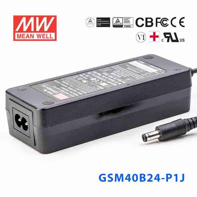 Mean Well GSM40B24-P1J Power Supply 40W 24V 1.67A