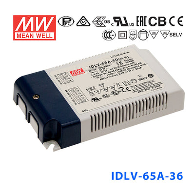 Mean Well IDLV-65A-36 Power Supply 65W 36V (Auxiliary DC output)