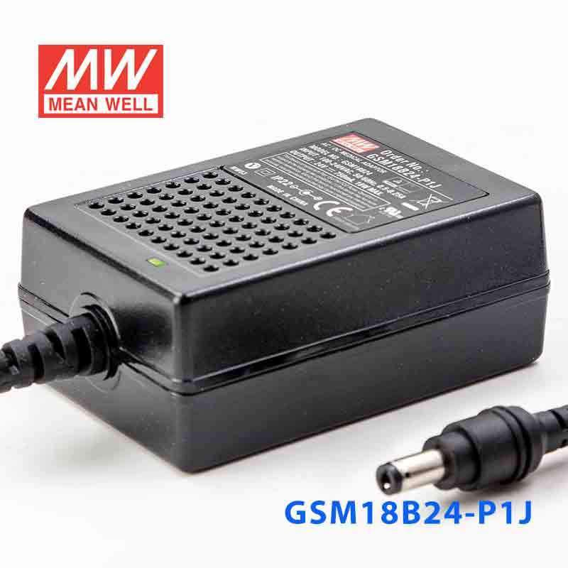 Mean Well GSM18B24-P1J Power Supply 18W 24V 750mA - PHOTO 1