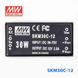 Mean Well SKM30C-12 DC-DC Converter - 30W - 36~75V in 12V out 2.5A - PHOTO 2