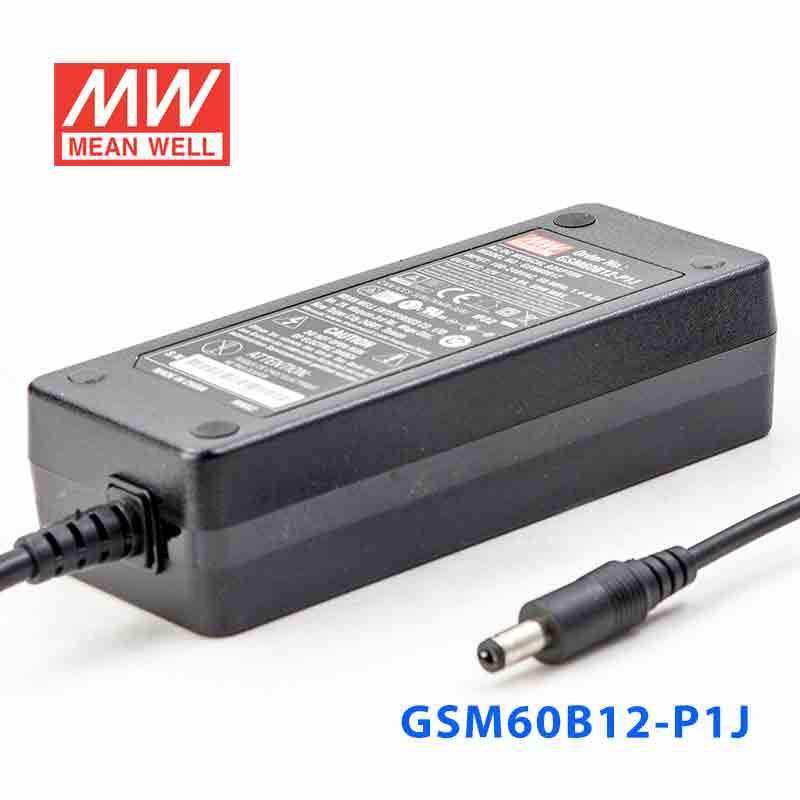 Mean Well GSM60B12-P1J  Power Supply 54W 12V 5A - PHOTO 1