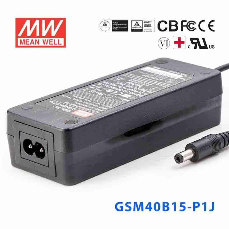 Mean Well GSM40B15-P1J Power Supply 40W 15V 2.67A