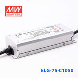 Mean Well ELG-75-C1050 Power Supply 75W 1050mA - PHOTO 3