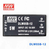Mean Well DLW05B-12 DC-DC Converter - 5W - 18~36V in ±12V out 208mA - PHOTO 2