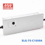 Mean Well ELG-75-C1050A Power Supply 75W 1050mA - Adjustable - PHOTO 4