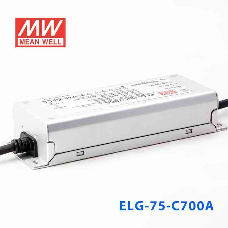 Mean Well ELG-75-C700A Power Supply 75W 700mA - Adjustable - PHOTO 3