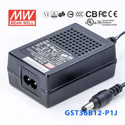 Mean Well GST36B12-P1J Power Supply 36W 12V 3A