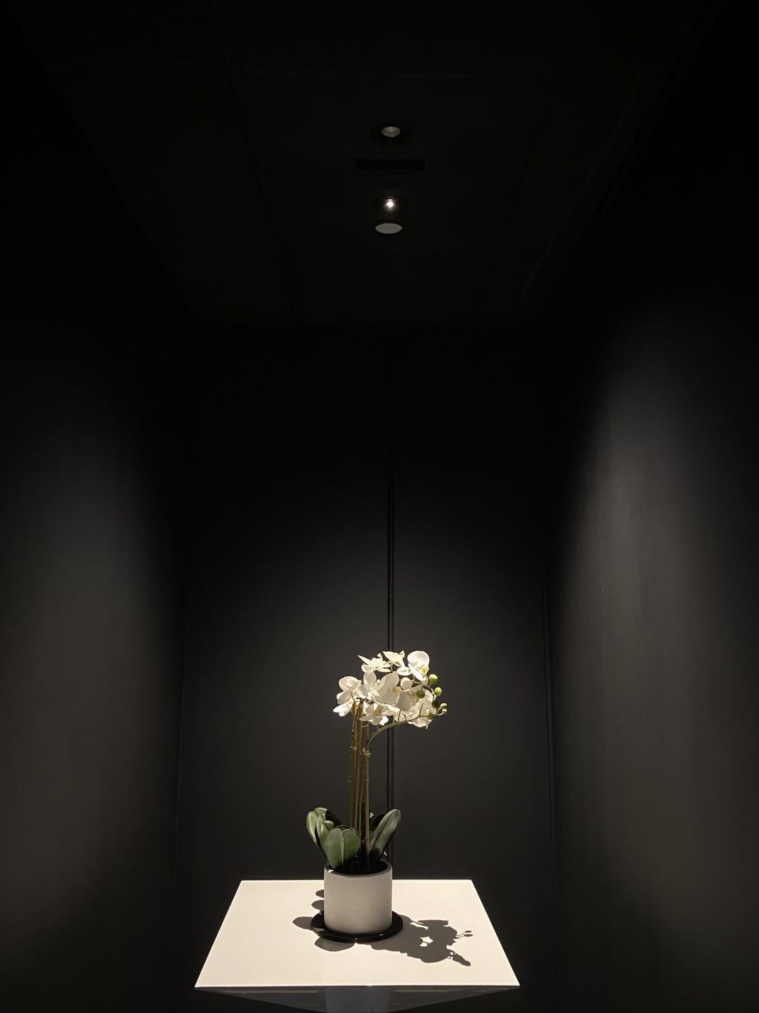 Archilight Pointer 68 Series 8W Mini Downlight - PHOTO 2