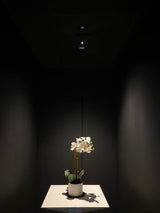 Archilight Pointer 68 Series 8W Mini Downlight - PHOTO 2