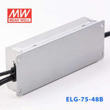 Mean Well ELG-75-48B Power Supply 75W 48V - Dimmable 1.6A - PHOTO 4