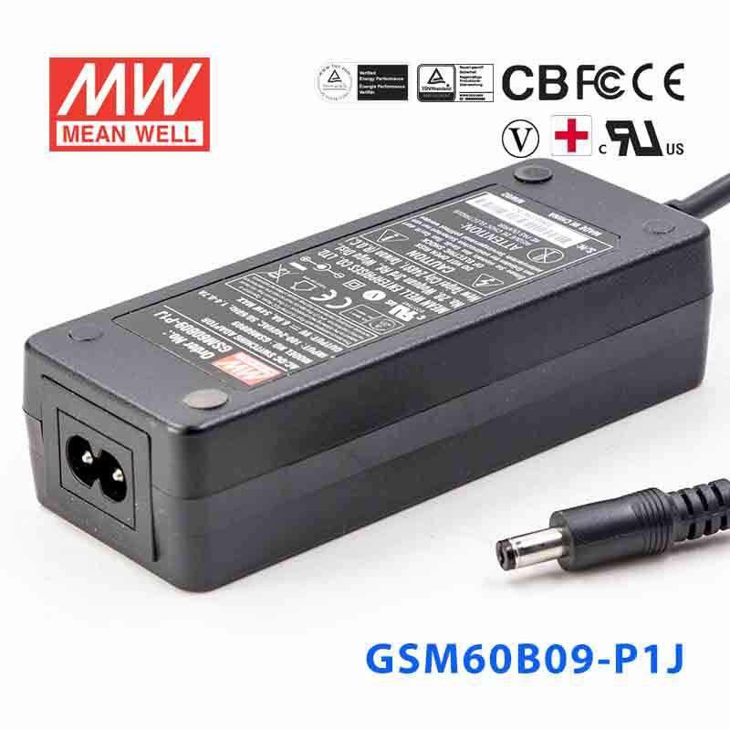 Mean Well GSM60B09-P1J Power 49.5W 9V 6A