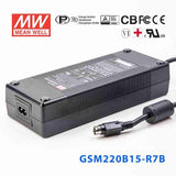Mean Well GSM220B15-R7BPower Supply 201W 15V