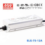 Mean Well ELG-75-12A Power Supply 60W 12V - Adjustable