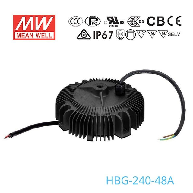 Mean Well HBG-240-48A Power Supply 240W 48V - Adjustable