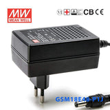 Mean Well GSM18E48-P1J Power Supply 18W 48V 375mA