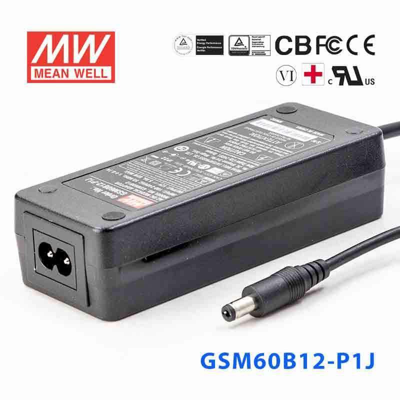Mean Well GSM60B12-P1J  Power Supply 54W 12V 5A