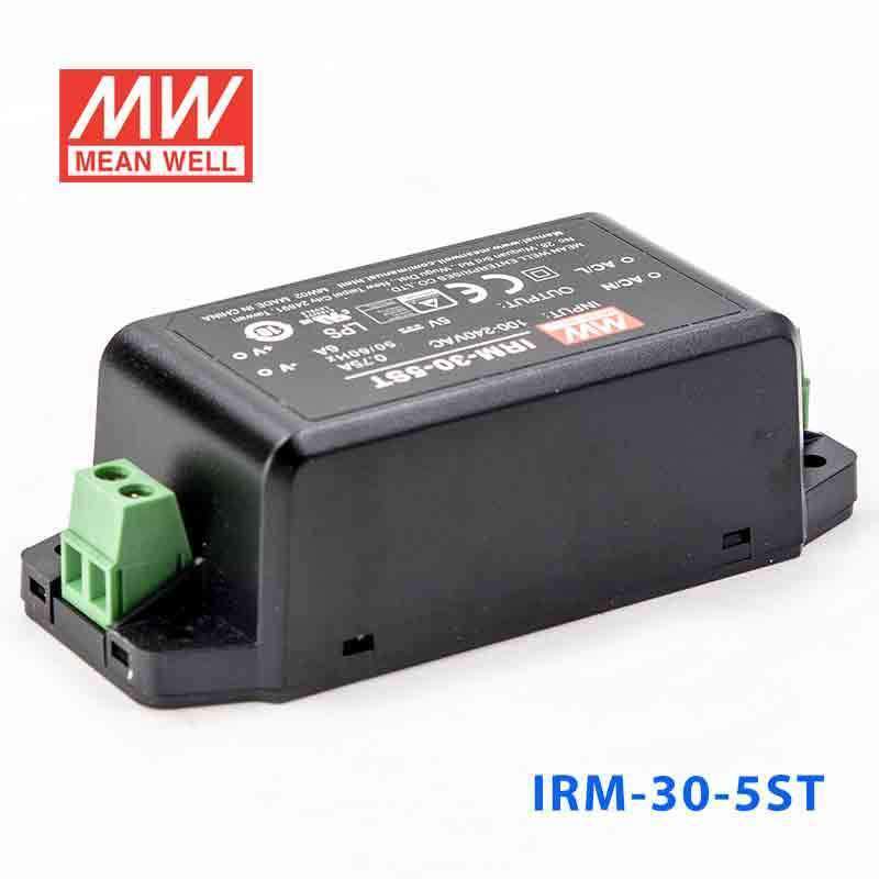 Mean Well IRM-30-5ST Switching Power Supply 3W 5V 6A - Encapsulated - PHOTO 1