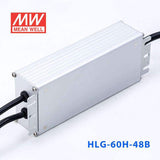 Mean Well HLG-60H-48B Power Supply 60W 48V - Dimmable 1.3A - PHOTO 4