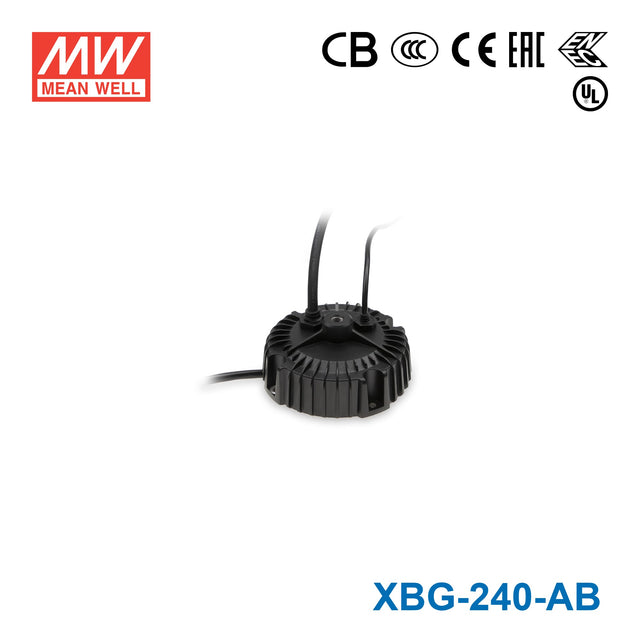 Mean Well XBG-240-AB Power Supply 240W - Adjustable
