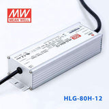 Mean Well S-HLG-80H-12 Power Supply 60W 12V with AU/NZ plug 5A - PHOTO 3