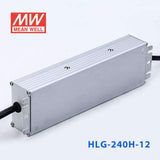 Mean Well S-HLG-240H-12 Power Supply 192W 12V with AU/NZ plug 16A - PHOTO 4