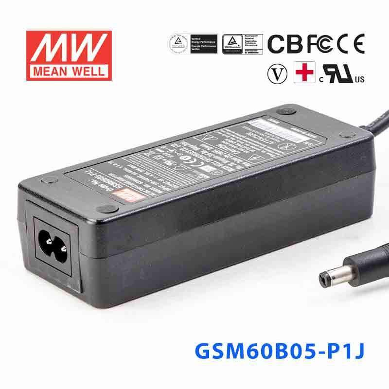 Mean Well GSM60B05-P1J Power Supply 30W 5V
