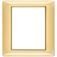 Vimar Plana Plate 8M Technopolymer Polished Gold