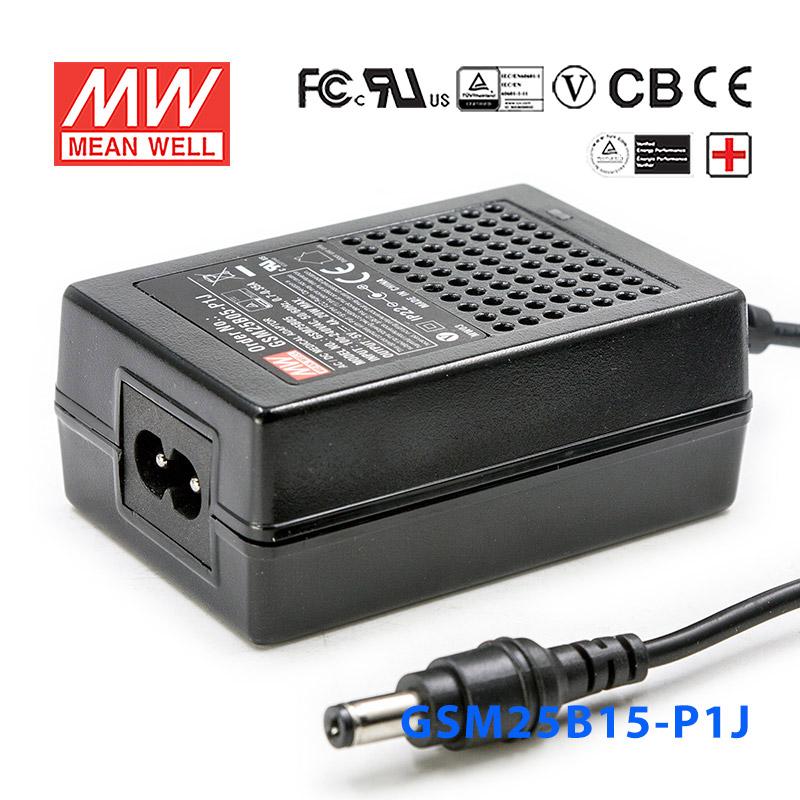 Mean Well GSM25B15-P1J Power Supply 25W 15V 1.66A