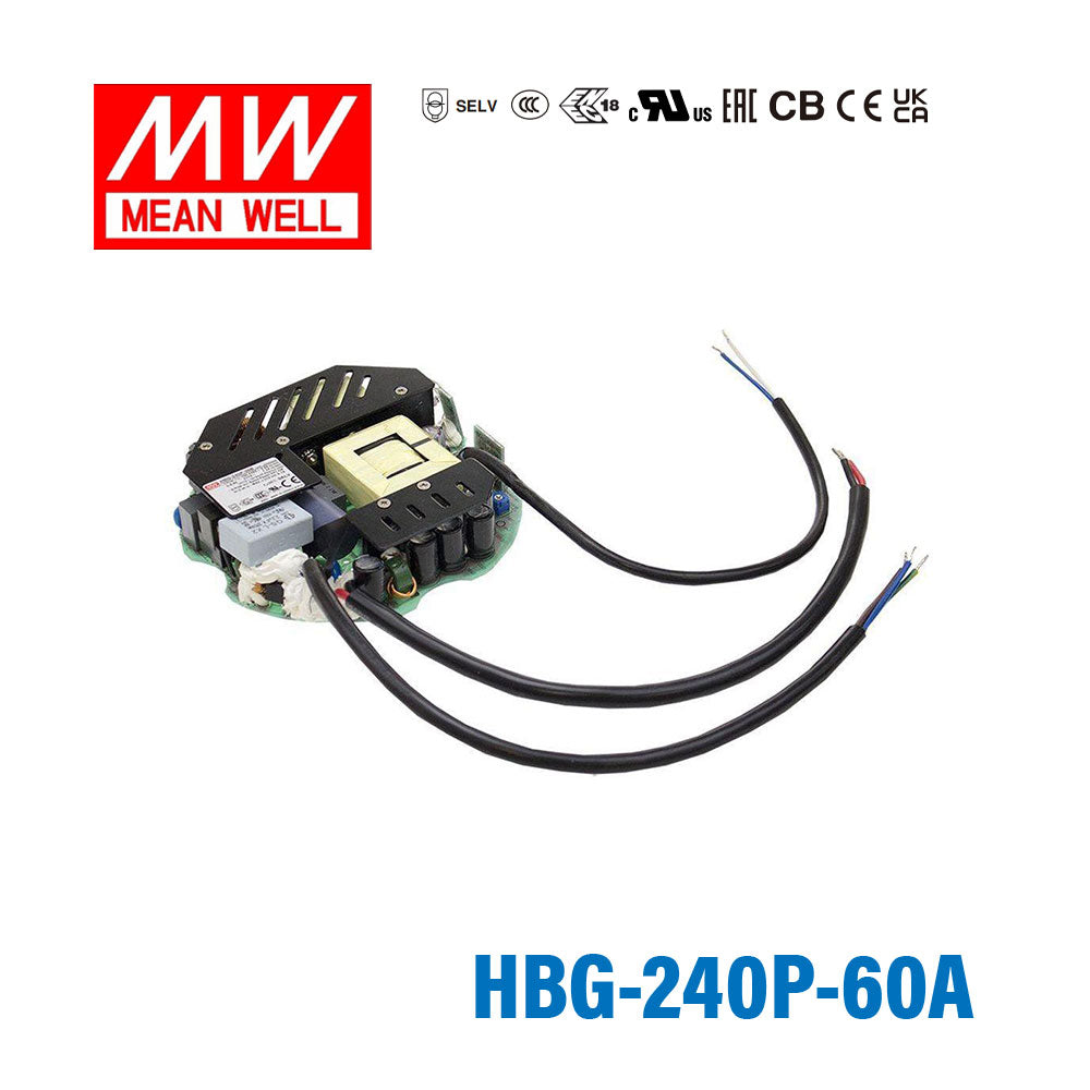 Mean Well HBG-240P-60A Power Supply 240PW 60V PCB Type - Adjustable 4A