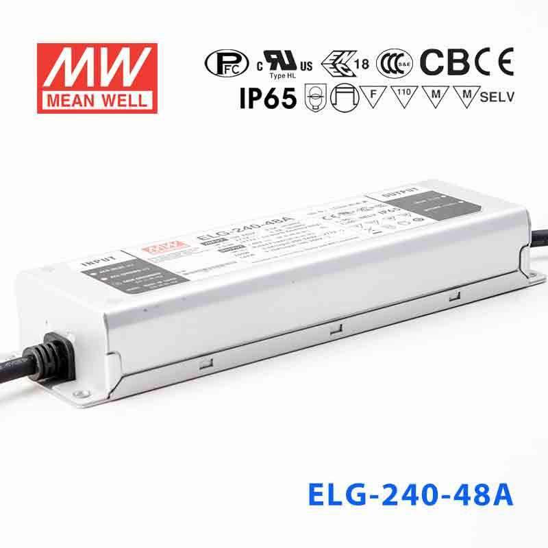 Mean Well ELG-240-48A Power Supply 240W 48V - Adjustable