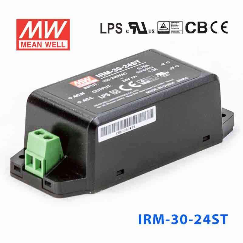 Mean Well IRM-30-24ST Switching Power Supply 3W 24V 1.3A - Encapsulated